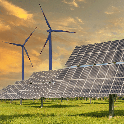 Renewable Energy Plant Protection